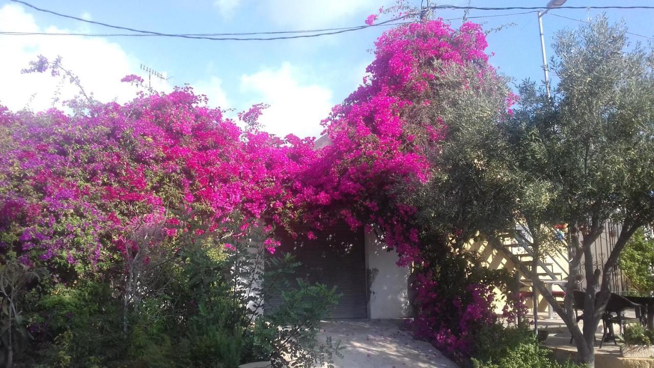 Casa Los Cerezos Villamartin  Zewnętrze zdjęcie